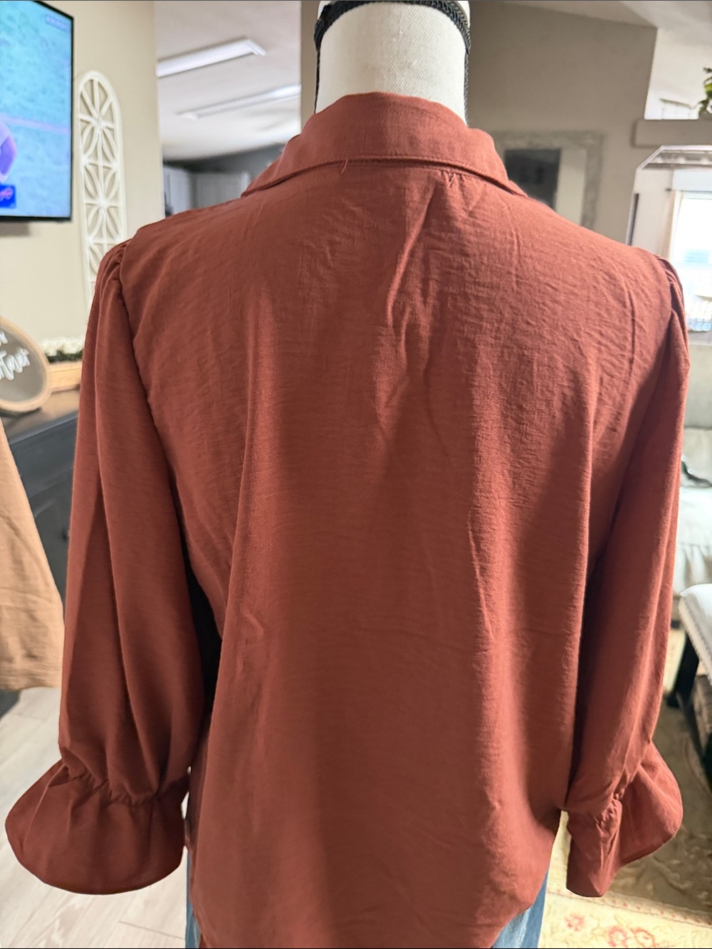 Adrienne Rust Collared V-Neck Blouse - Picture 4 of 5